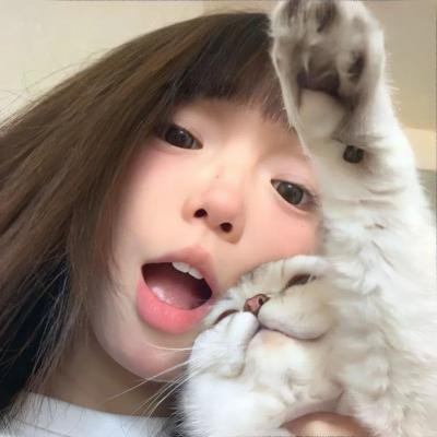 史酷比狗
