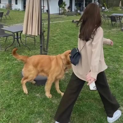 恐怖游湖